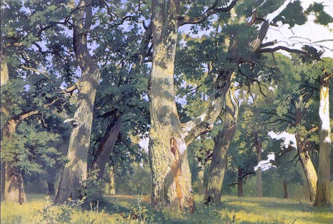  Ivan Ivanovich Shishkin Oaks, Evening (Study for Picture Oak-Wood) - Hand Painted Oil Painting