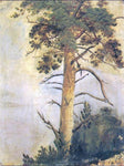  Ivan Ivanovich Shishkin Pine on Rock (etude) - Hand Painted Oil Painting