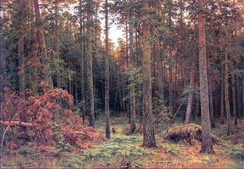  Ivan Ivanovich Shishkin Piny wood - Hand Painted Oil Painting