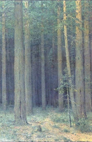  Ivan Ivanovich Shishkin Reserve, Pine Forest - Hand Painted Oil Painting
