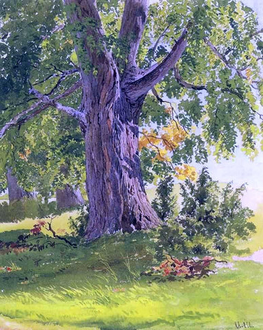  Ivan Ivanovich Shishkin Sunny Oak - Hand Painted Oil Painting