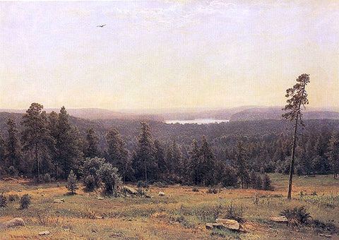  Ivan Ivanovich Shishkin The Forest Horizons - Hand Painted Oil Painting