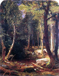  Jasper Francis Cropsey Pool in the Woods - Hand Painted Oil Painting