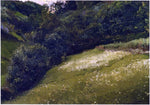  Joaquin Sorolla Y Bastida Field in Asturias - Hand Painted Oil Painting