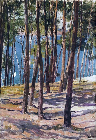  Joaquin Sorolla Y Bastida Pine Trees - Hand Painted Oil Painting