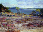  Julian Onderdonk Mountain Pinks in Bloom, Medina Lake, Southwest Texas - Hand Painted Oil Painting