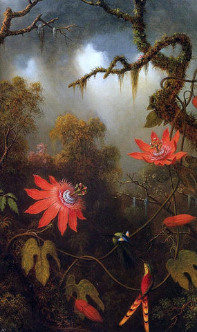  Martin Johnson Heade Two Hummingbirds Perched on Passion Flower Vines - Hand Painted Oil Painting