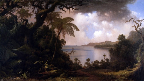  Martin Johnson Heade View from Fern-Tree Walk, Jamaica - Hand Painted Oil Painting