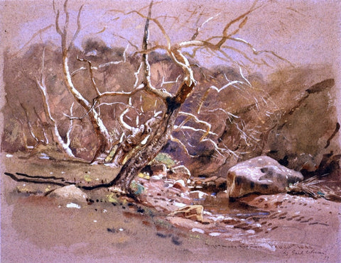  Jr. Samuel Colman Sycamore Canyon - Hand Painted Oil Painting