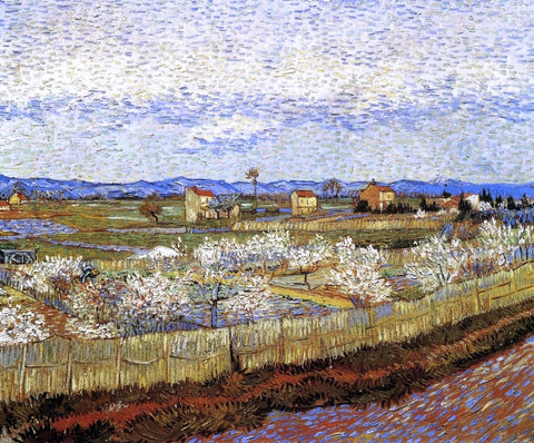  Vincent Van Gogh La Crau with Peach Trees in Bloom - Hand Painted Oil Painting