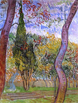  Vincent Van Gogh The Garden of Saint-Paul Hospital - Hand Painted Oil Painting