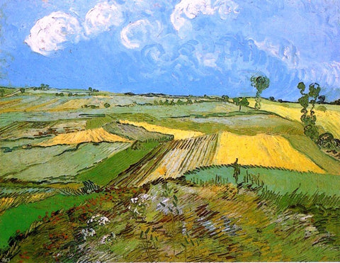  Vincent Van Gogh Wheat Fields at Auvers under a Cloudy Sky - Hand Painted Oil Painting