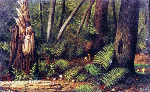  William Aiken Walker Forest with Ferns and Mushrooms - Hand Painted Oil Painting