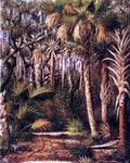  William Aiken Walker Palm Hammock with Epiphytes - Hand Painted Oil Painting