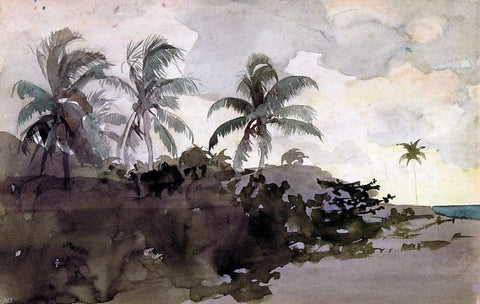  Winslow Homer Coconut Palms - Hand Painted Oil Painting