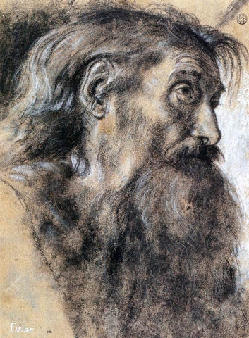  Giovanni Girolamo Savoldo Head of St Jerome - Hand Painted Oil Painting