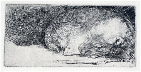  Rembrandt Van Rijn The Little Dog Sleeping - Hand Painted Oil Painting