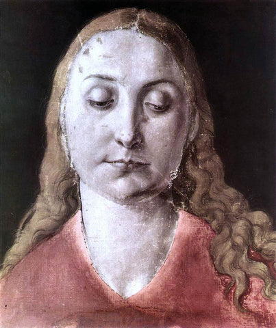  Albrecht Durer Head of a Woman - Hand Painted Oil Painting