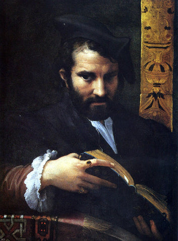  Girolamo Mazzola (Parmigianino) Portrait of a Man With A Book - Hand Painted Oil Painting