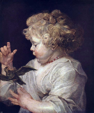  Peter Paul Rubens Boy with Bird - Hand Painted Oil Painting