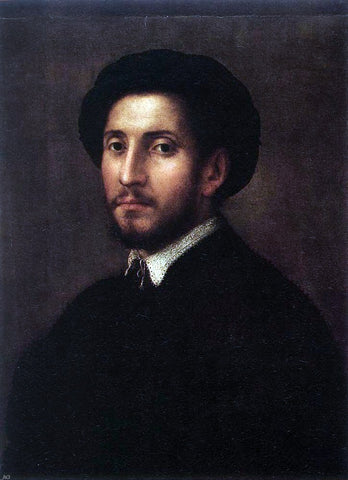  Pier Francesco Di Jacopo Foschi Portrait of a Man - Hand Painted Oil Painting