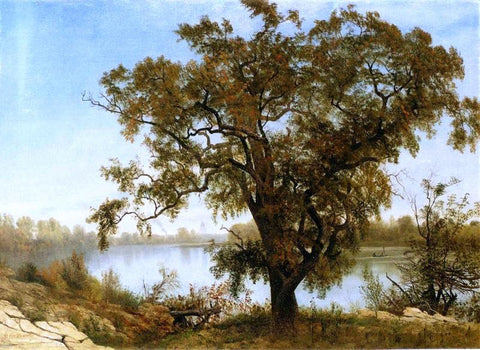  Albert Bierstadt A View from Sacramento - Hand Painted Oil Painting
