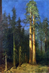  Albert Bierstadt California Redwoods - Hand Painted Oil Painting