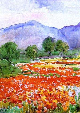 Field of Poppies, near Spoleto Italy by Annie G. Sykes - Hand Painted Oil Painting