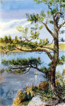  Charles De Wolf Brownell Tree and Sailboat, Lyme, Connecticut - Hand Painted Oil Painting