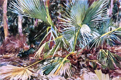  John Singer Sargent Palmettos, Florida - Hand Painted Oil Painting