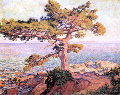  Theo Van Rysselberghe A Pine by the Mediterranean Sea - Hand Painted Oil Painting