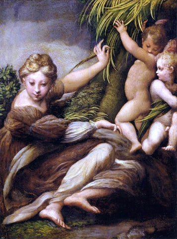  Parmigianino Virgin and Child with an Angel - Hand Painted Oil Painting