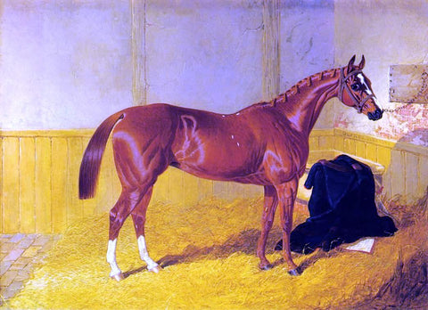  Sr. John Frederick Herring Our Nell, A Bay Racehorse in a Stable - Hand Painted Oil Painting