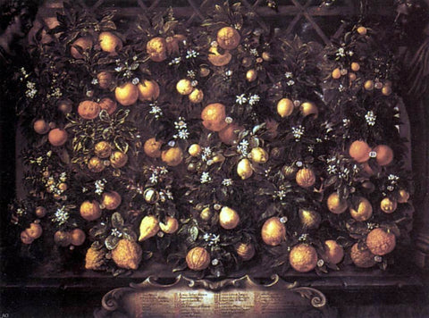  Bartolomeo Bimbi Citrus - Hand Painted Oil Painting