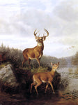 Buck and Doe by Arthur Fitzwilliam Tait - Hand Painted Oil Painting