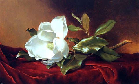 A Magnolia on Red Velvet by Martin Johnson Heade - Hand Painted Oil Painting