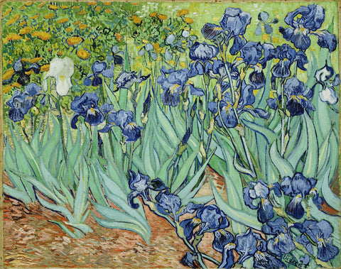 Irises by Vincent Van Gogh - Hand Painted Oil Painting