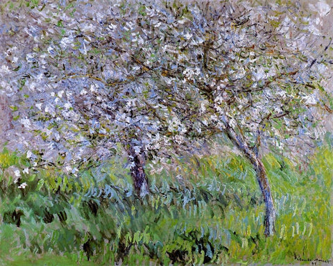 Apple Trees in Bloom at Giverny - Hand Painted Oil Painting