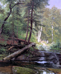  Herman Herzog A Bear Approaching a Forest Stream - Hand Painted Oil Painting