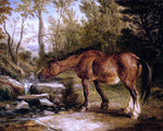  James Ward A Horse Drinking at a Stream - Hand Painted Oil Painting