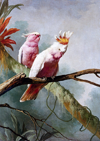  Jacques Barraban A Pair Of Leadbeaters Cockatoos - Hand Painted Oil Painting