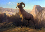  Albert Bierstadt A Rocky Mountain Sheep, Ovis, Montana - Hand Painted Oil Painting