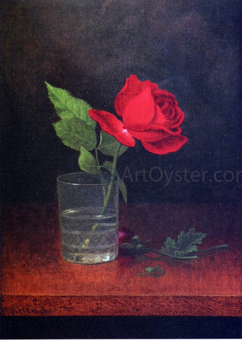  Martin Johnson Heade A Single Rose in a Glass - Hand Painted Oil Painting