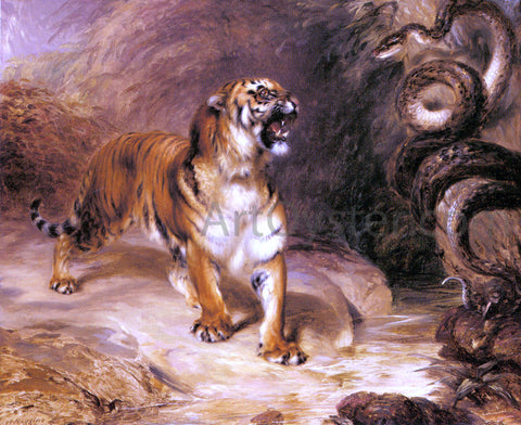  William Huggins A Tiger and a Serpent - Hand Painted Oil Painting