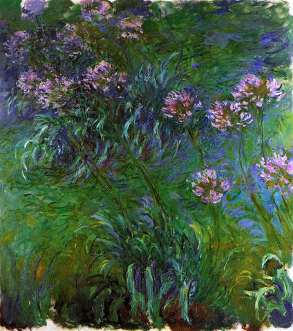  Claude Oscar Monet Agapanathus - Hand Painted Oil Painting