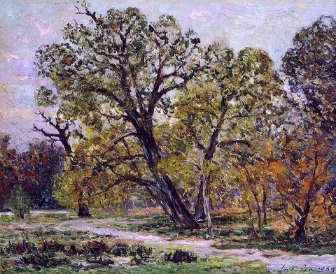  Maxime Maufra Autumn, Fontainebleau Forest - Hand Painted Oil Painting