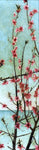  Charles Caryl Coleman Blossoming Pink Branches - Hand Painted Oil Painting