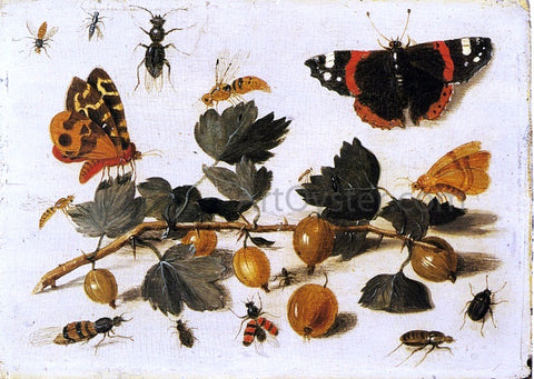  The Elder Jan Van Kessel Butterflies and Insects and a Spray of Gooseberries - Hand Painted Oil Painting