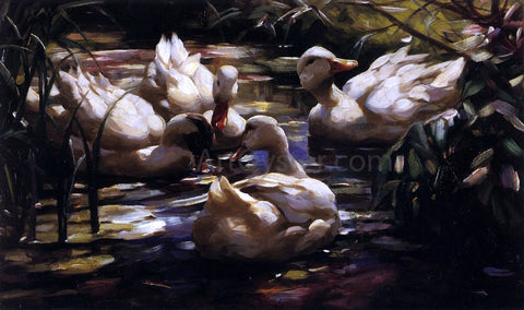  Alexander Koester Ducks in a Forest Pond - Hand Painted Oil Painting