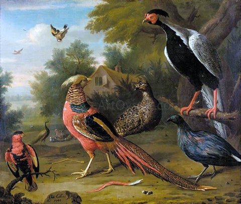  Charles Collins Exotic Pheasants and Other Birds - Hand Painted Oil Painting